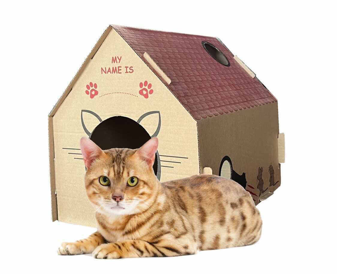 KOTEBG картонена котешка къщичка с котка